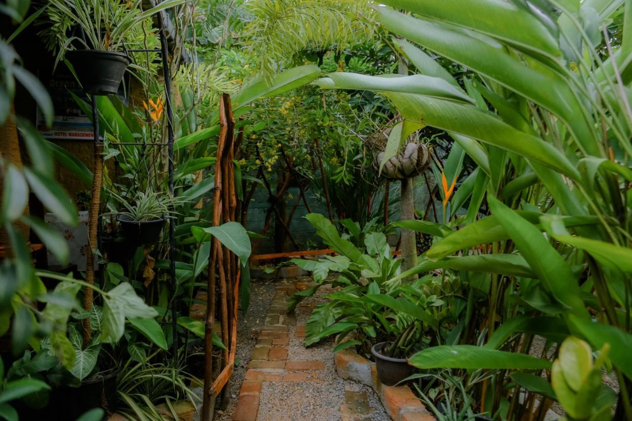 Ruwan Jungle Homestay Мирисса Экстерьер фото