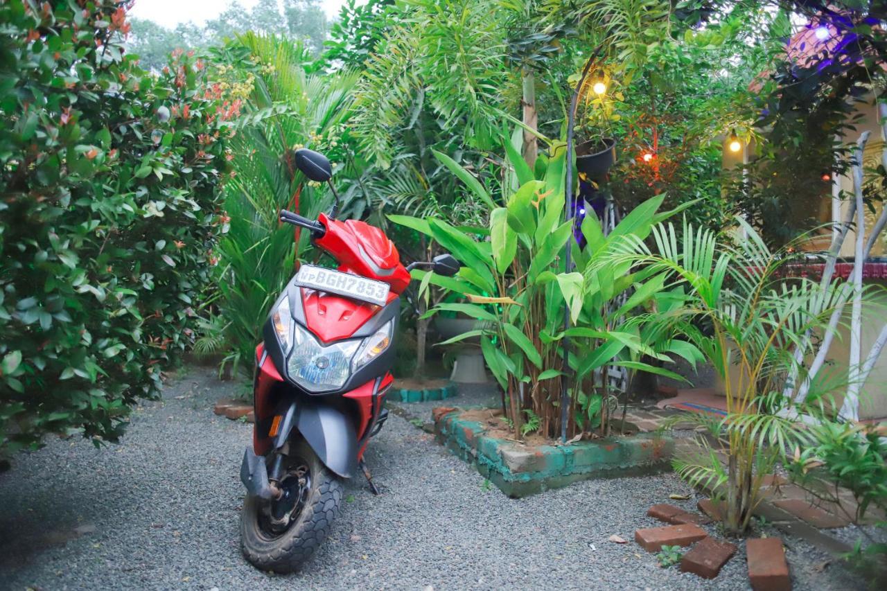 Ruwan Jungle Homestay Мирисса Экстерьер фото