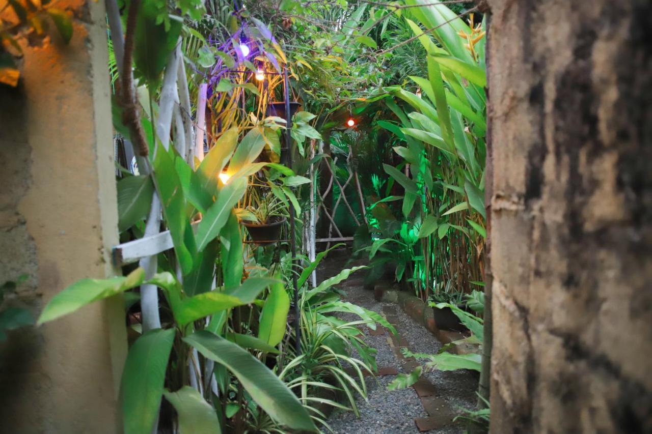 Ruwan Jungle Homestay Мирисса Экстерьер фото