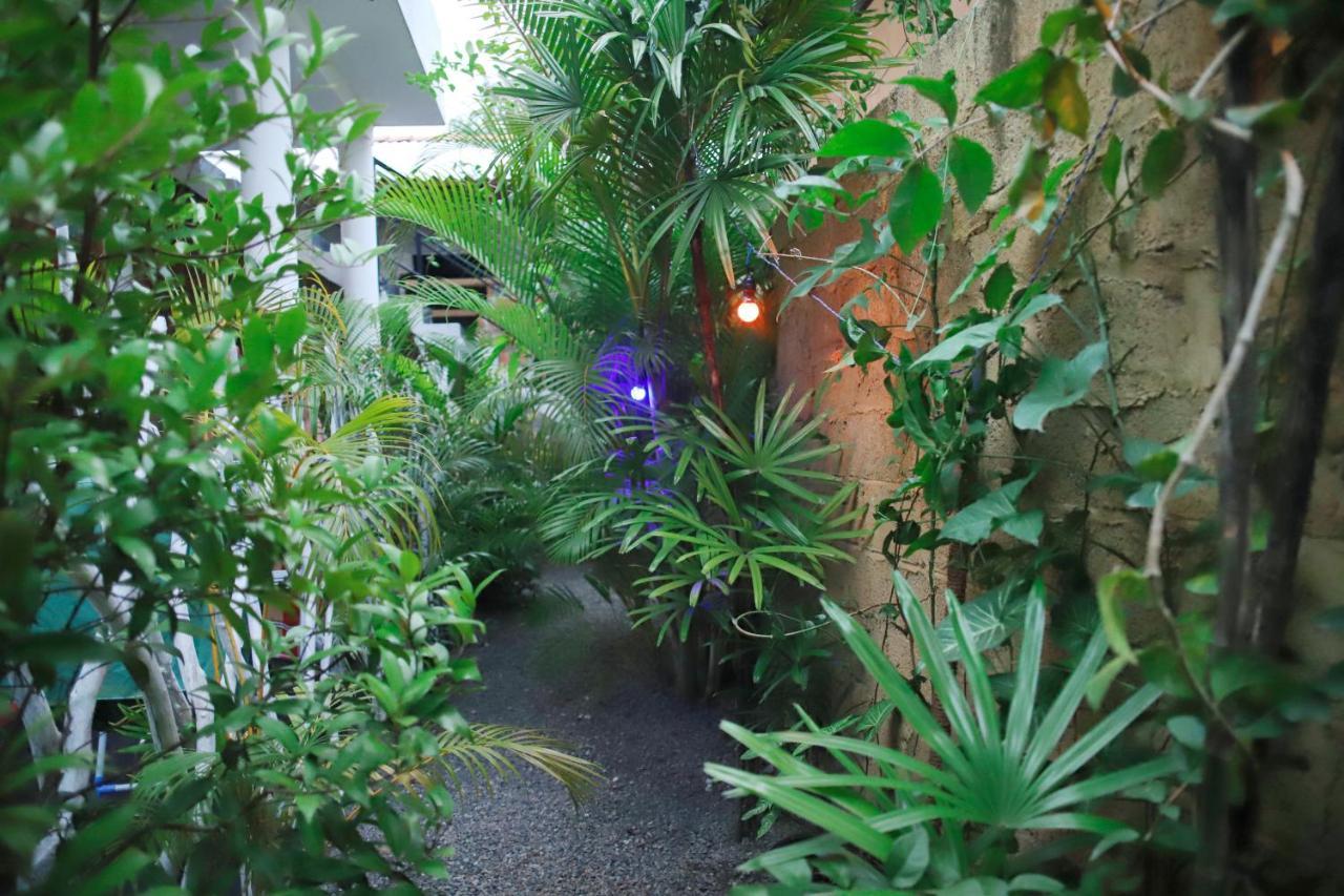 Ruwan Jungle Homestay Мирисса Экстерьер фото