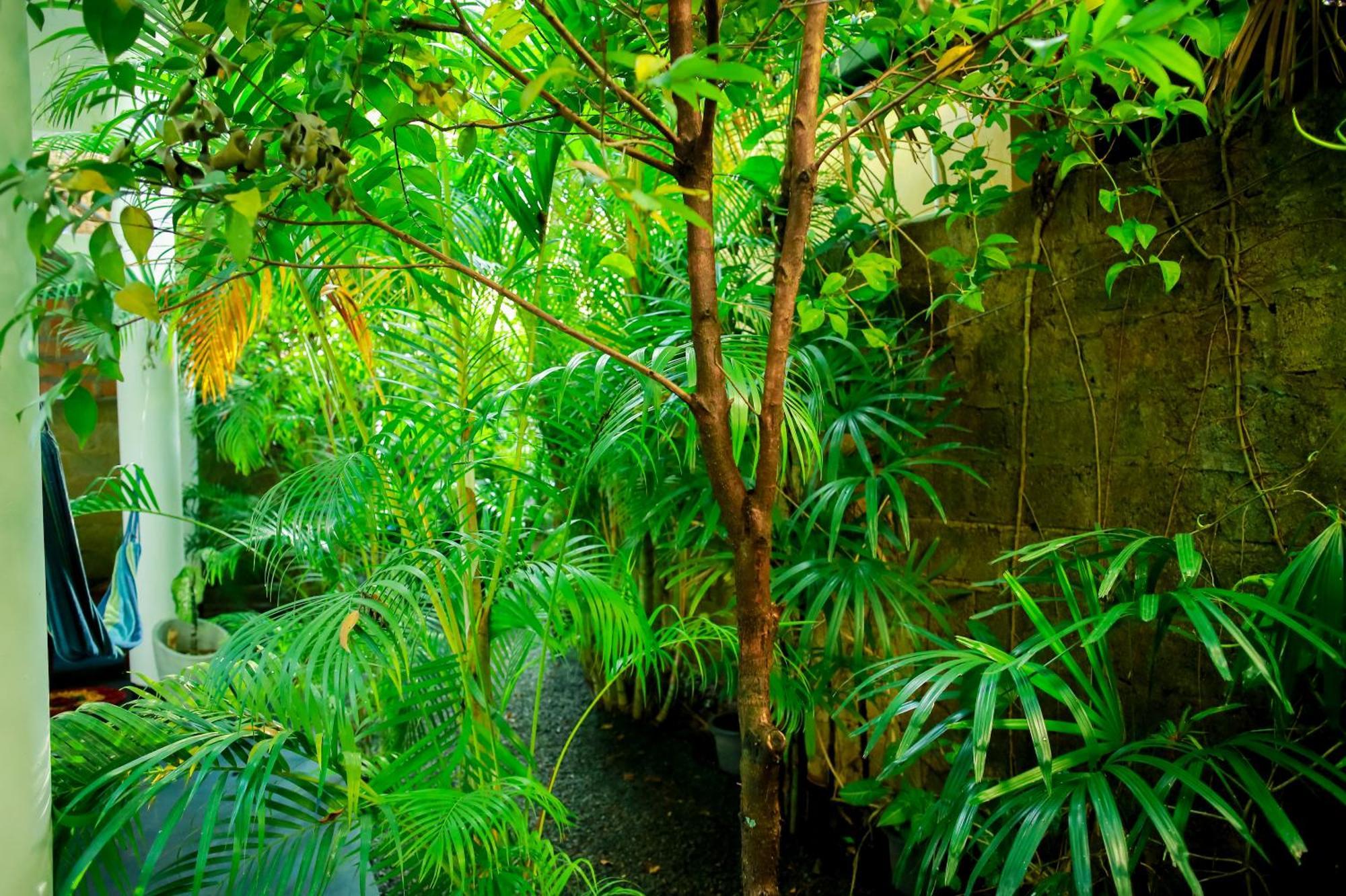 Ruwan Jungle Homestay Мирисса Экстерьер фото