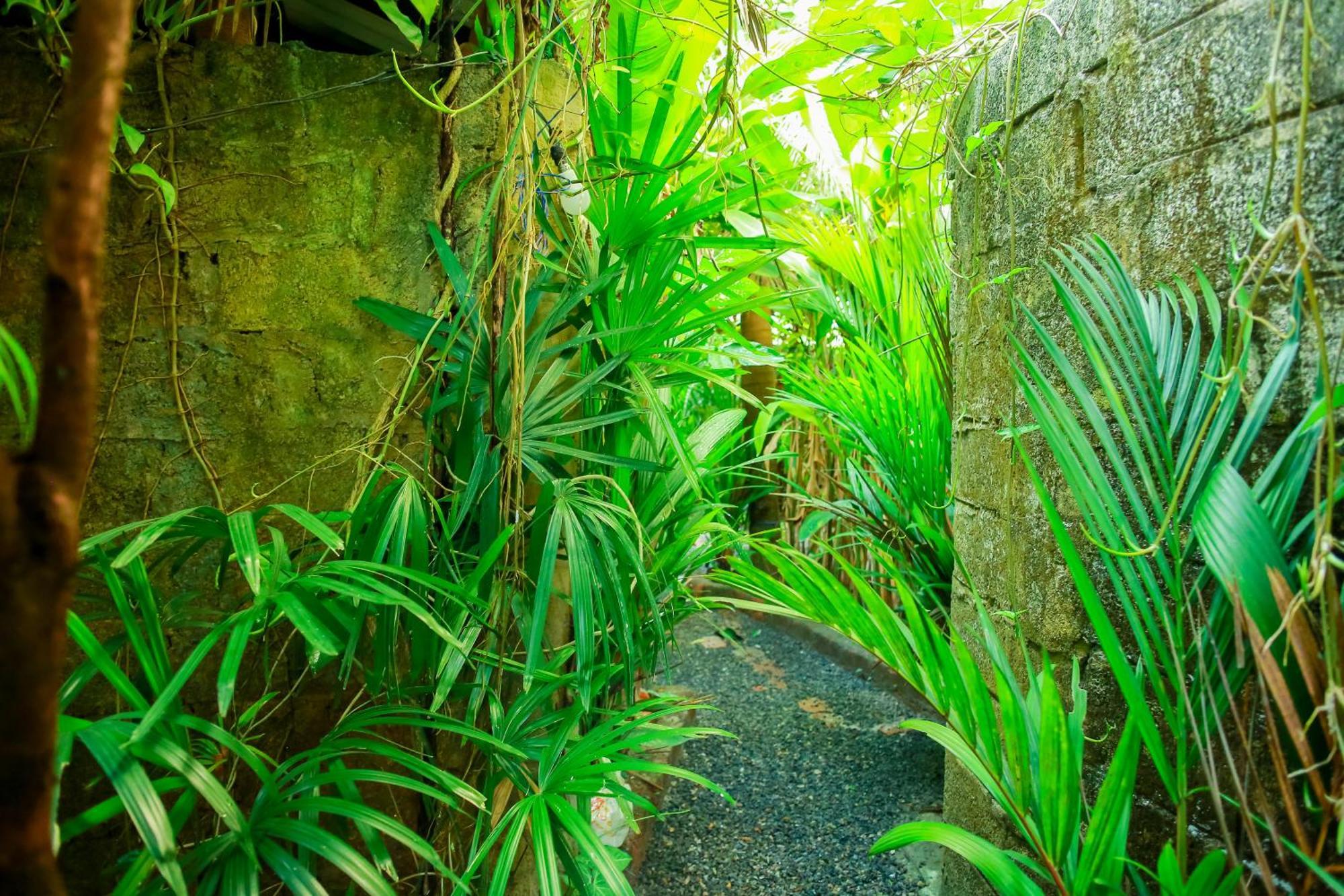 Ruwan Jungle Homestay Мирисса Экстерьер фото