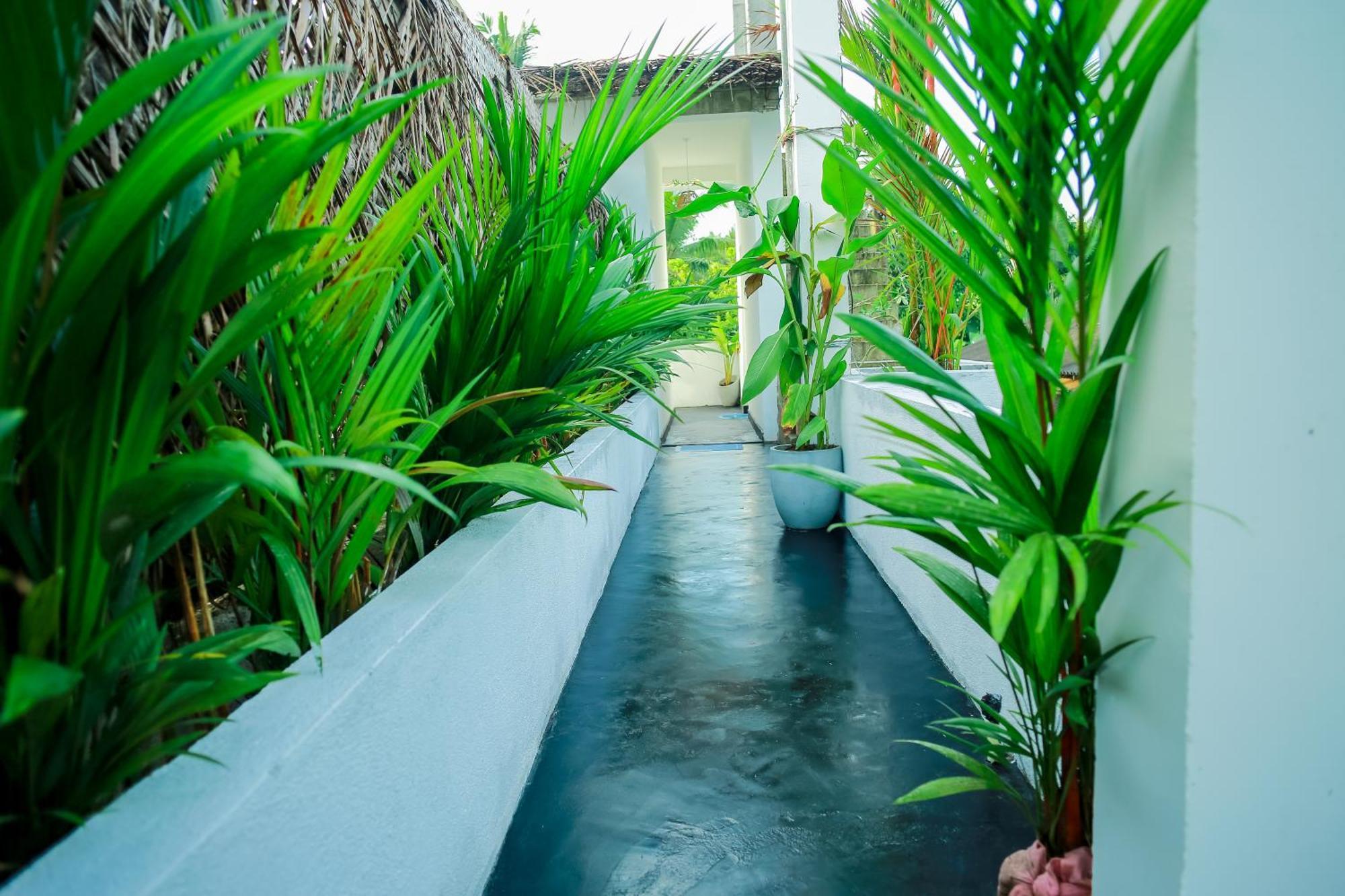 Ruwan Jungle Homestay Мирисса Экстерьер фото